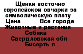 Щенки восточно европейской овчарки за символическую плату › Цена ­ 250 - Все города Животные и растения » Собаки   . Свердловская обл.,Бисерть п.